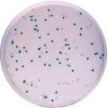 Gesundheitsprobiotikum Lactobacillus acidophilus